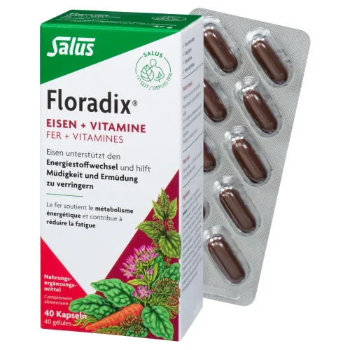 Floradix, Floradix Eisen + Vitamine Kapseln (40 Stk)