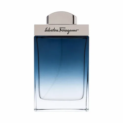 Salvatore Ferragamo, Salvatore Ferragamo Subtil Pour Homme Eau de Toilette 100ml