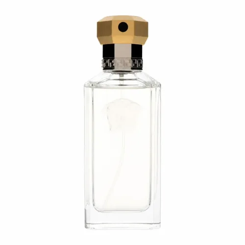 Versace, DREAMER by Versace Eau de Toilette Spray 50 ml