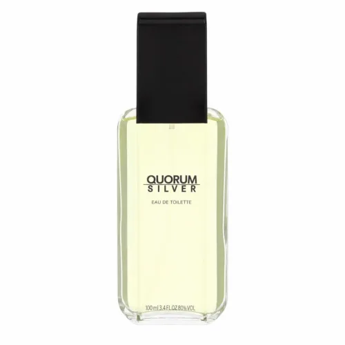 Puig, Quorum Silver by Puig Eau de Toilette Spray 100 ml