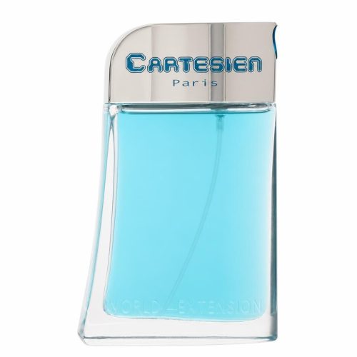 World Extension Cartesien by Viviane Vendelle Eau de Toilette Spray 100 ml