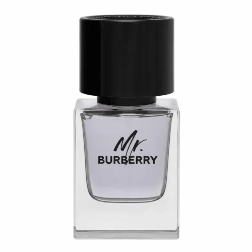 Burberry, BURBERRY Mr. Burberry Eau de Toilette 50 ml Herren