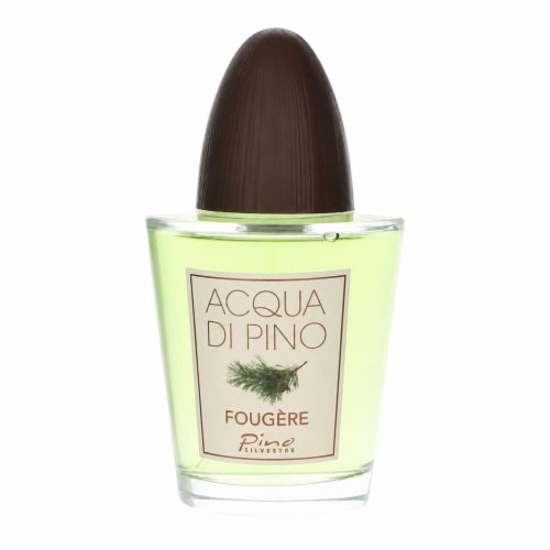 Pino Silvestre, Acqua Di Pino Fougere by Pino Silvestre Eau de Cologne Concentree Spray 125 ml