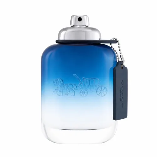 Coach Blue Eau De Toilette Spray 100 ml