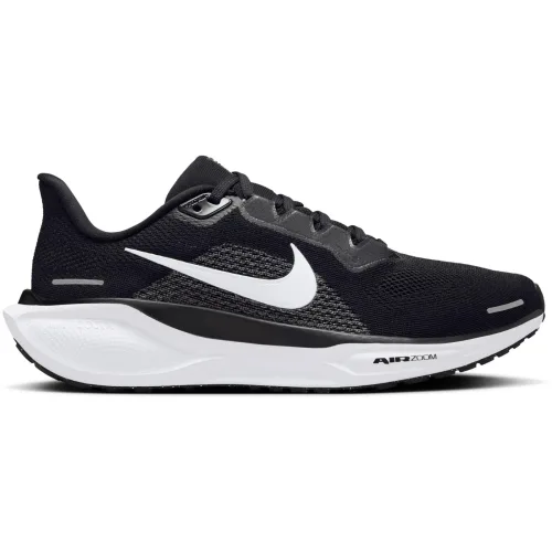 Nike, Nike Damen Pegasus 41 Schuhe