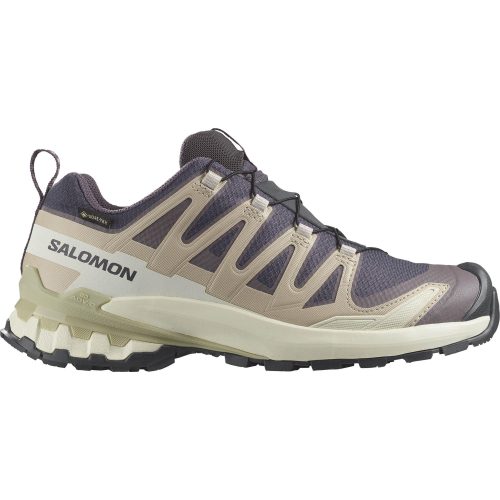 Salomon, Salomon Damen Xa Pro 3D V9 GTX Schuhe