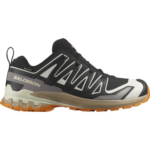 Salomon, Salomon Herren XA Pro 3D V9 GTX Schuhe