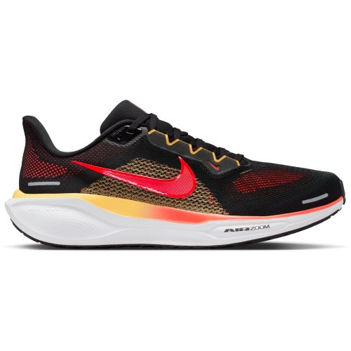 Nike, Nike Herren Pegasus 41 Schuhe