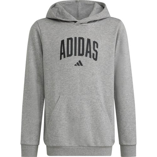 Adidas, adidas Kinder Collegiate Graphic Hoodie