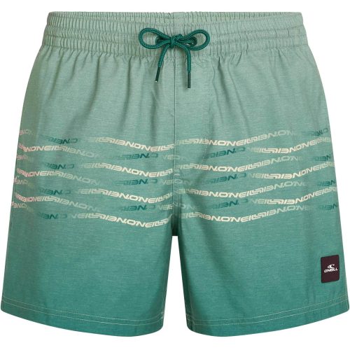 O'Neill, O'NEILL First 15'' Herren Badeshort Grün, Herren, Größe: XL