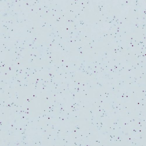DIVERSE, Diverse Tablett Roltex Grau Kunstharz 53 cm 32.5 cm - Material: Melamin - Tablett