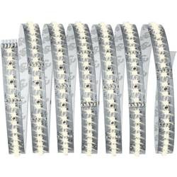 Paulmann axLED 1000 79814 LED-Streifen mit Stecker 24 V 2.5 m Warmweiß 2.5 m