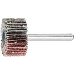 PFERD TOOLS 44409086 Fächerschleifer Durchmesser 30 mm 10 St.