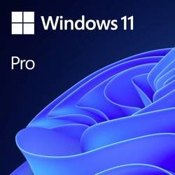 Microsoft Windows 11 Pro OEM Vollversion, 1 Lizenz Windows Englisch Betriebssystem
