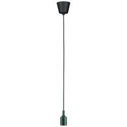 Paulmann 78429 Pendelleuchte E27 60 W Grün, Schwarz