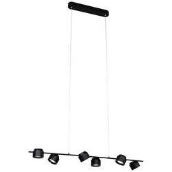 Paulmann Pane 79784 LED-Pendelleuchte LED LED fest eingebaut 36 W Schwarz