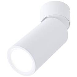 Paulmann Turnal Coin 3SD ABL weiß 93087 LED-Aufbauleuchte LED 6 W Weiß (matt)