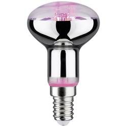Paulmann LED-Pflanzenlampe Wachstum 230 V E14 4 W Bernstein 1 St.