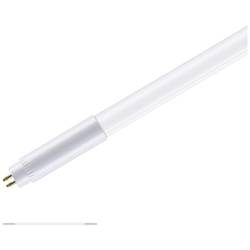Paulmann LED-Röhre EEK: F (A - G) G5 8.5 W Warmweiß (Ø x L) 18 mm x 563 mm 1 St.