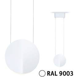 Paulmann Alejandro Hochvolt-Schienensystem-Leuchte URail 10 W Signal-Weiß