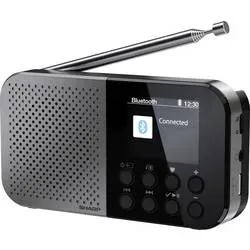 Sharp, Sharp Digitalradio (DAB+) "DR-P520" (Bluetooth Digitalradio (DAB+)  FM-Tuner )