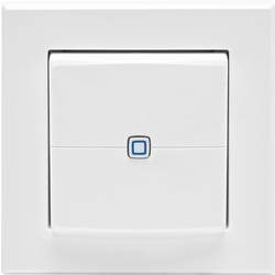 Homematic IP Funk-Wandtaster HmIP-WRC2-2