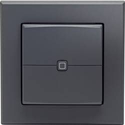 Homematic IP Wandtaster HmIP-WRC2-A-2
