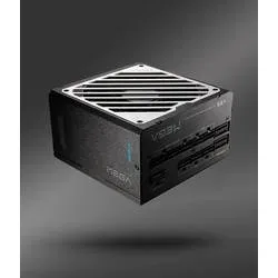 FSP, FSP MEGA GM 1000W, PC-Netzteil