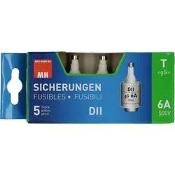 Max Hauri AG, Max Hauri Sicherung 6A träge 500V Dt-Ii / 5 Stück