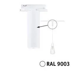 undefined, Paulmann "URail Pendeladapter Universal max. 50W 230V Signalweiß"