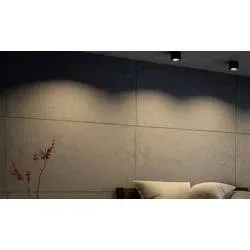 Philips LED Phase Aufbauleuchte LED LED fest eingebaut 4.5 W Warmweiß Schwarz