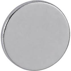 Maul, MAUL Neodym-Magnet 10x1mm 6166196 0,5kg Haftkraft, 10 St./Set