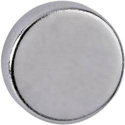 Maul, Maul Magnete Hellsilber 1 x 0,3 cm 10 Stück