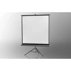 celexon Stativleinwand Economy 244 x 244 cm