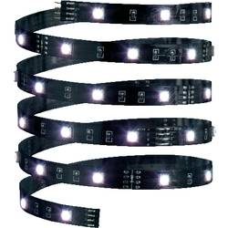 Paulmann YourLED Eco 70252 LED-Streifen mit Stecker 12 V 3 m RGB 1 St.