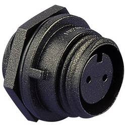 Bulgin PX0412/10S Rundstecker Stecker, Einbau Gesamtpolzahl: 10 Serie (Rundsteckverbinder): PX04 1 St.