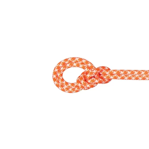 MAMMUT 9.5 Crag Classic 60 m Einfachseil Orange, Herren, Größe: ONE SIZE
