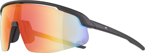 Alpina, Alpina Turbo Pro Q-Lite Sportbrille