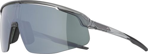 Alpina, Alpina Turbo Pro Q-Lite Sonnenbrille - grey transparent, silver cat.3