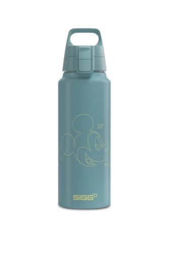 Sigg WMB ONE Disney 1000 ml Trinkflasche Grün, Herren, Größe: ONE SIZE
