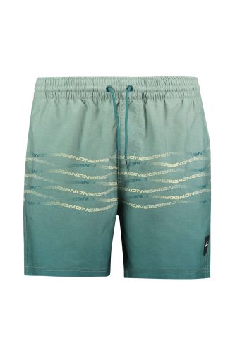 O'NEILL First 15'' Herren Badeshort Grün, Herren, Größe: XL