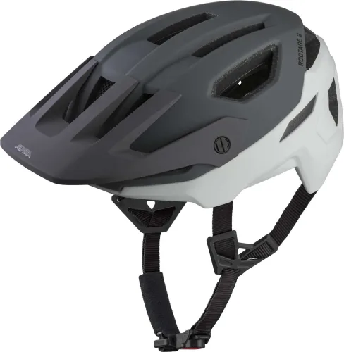 Alpina, ALPINA Fahrradhelm Rootage 2 MIPS grau | 55-59CM