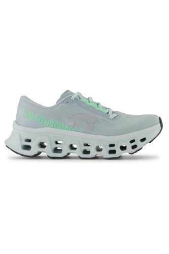 ON Cloudmonster 3 Damen Laufschuh Grau, Damen, Größe: 9