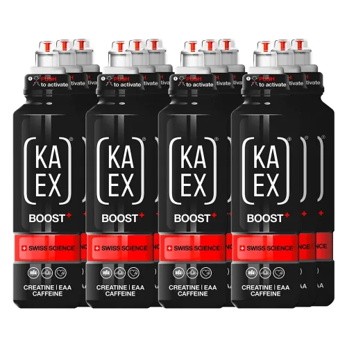 KA-EX, KA-EX GO EAA+ CREATINE BOOSTER (12x460ml)
