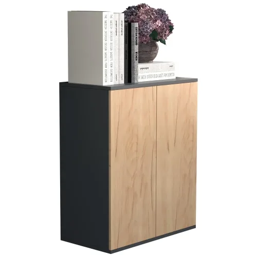 VCM, VCM Büroschrank Dalosa 2-Fach, Honig-Eiche