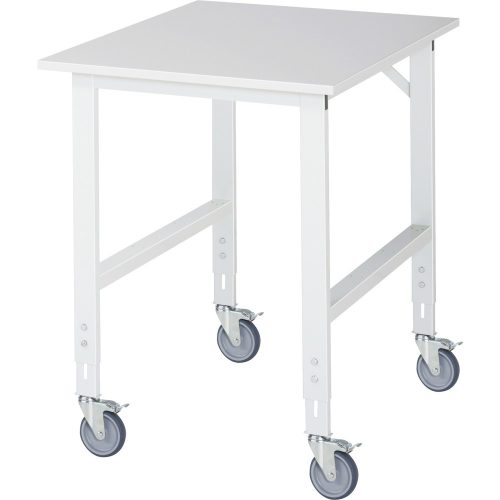 RAU, Fahrbarer Arbeitstisch, Gestell 60 x 30 mm, Platten-BxT 750 x 1000 mm, Melaminplatte RAU