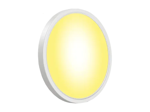 GOVEE Celling Light 30 cm Deckenleuchte RGBWW + RGBIC