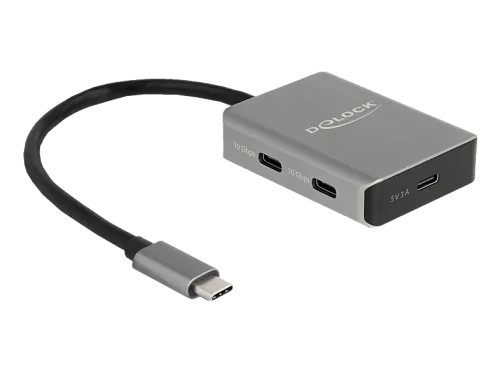 undefined, Delock USB-Hub 4 Port USB-C 10 Gbps