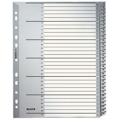 Leitz, LEITZ Register PP A4 12810000 1-31 grau