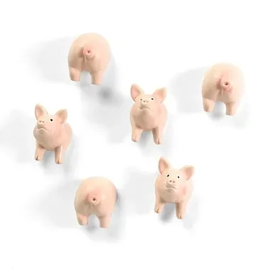 trendform, TRENDFORM Magnete PIGGY FA4593 6er Set assortiert